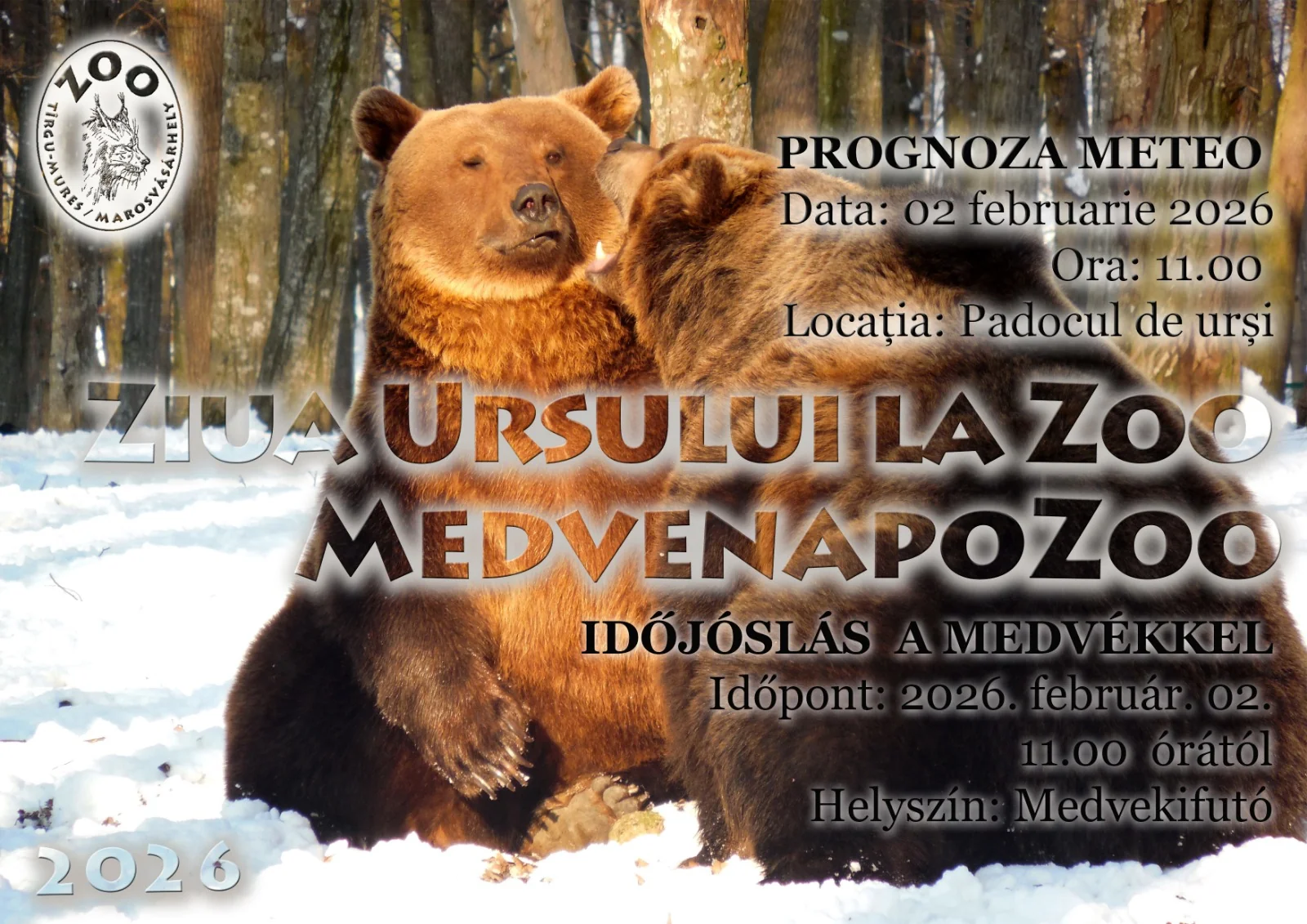Zilei Ursului la Grădina Zoologică Târgu Mureș pe 2 februarie