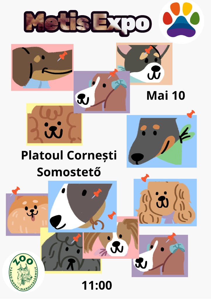 MetișExpo la Platoul Cornești: eveniment pentru câinii metiși, sub deviza „Frumusețea nu are nevoie de pedigree”